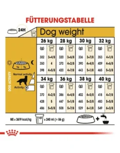 ROYAL CANIN Golden Retriever Adult 24kg (2x12kg)