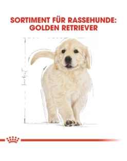 ROYAL CANIN Golden retriever junior 1kg