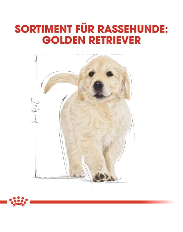 ROYAL CANIN Golden retriever junior 1kg