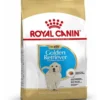 ROYAL CANIN Golden Retriever Puppy Junior 3 kg