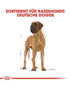 ROYAL CANIN Great dane 23 adult 12 kg