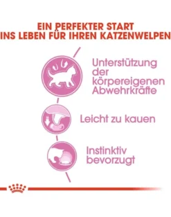 ROYAL CANIN Kitten Bocconcini in salsa 85 g x 12