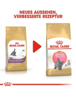 ROYAL CANIN Kitten british shorthair 10 kg