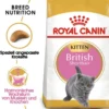 ROYAL CANIN Kitten British Shorthair 2 kg