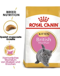 ROYAL CANIN Kitten British Shorthair 2 kg