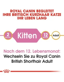 ROYAL CANIN Kitten British Shorthair 2 kg