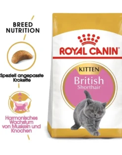 ROYAL CANIN Kitten British Shorthair 20kg (2x10 kg)