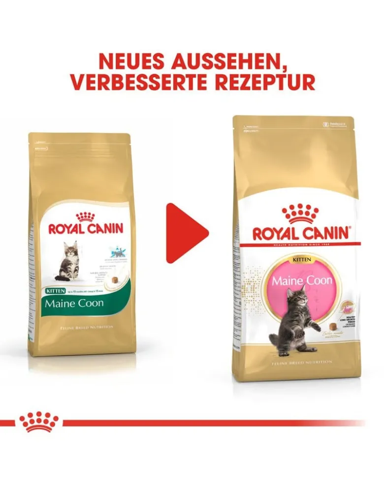 ROYAL CANIN Kitten maine coon 4 kg