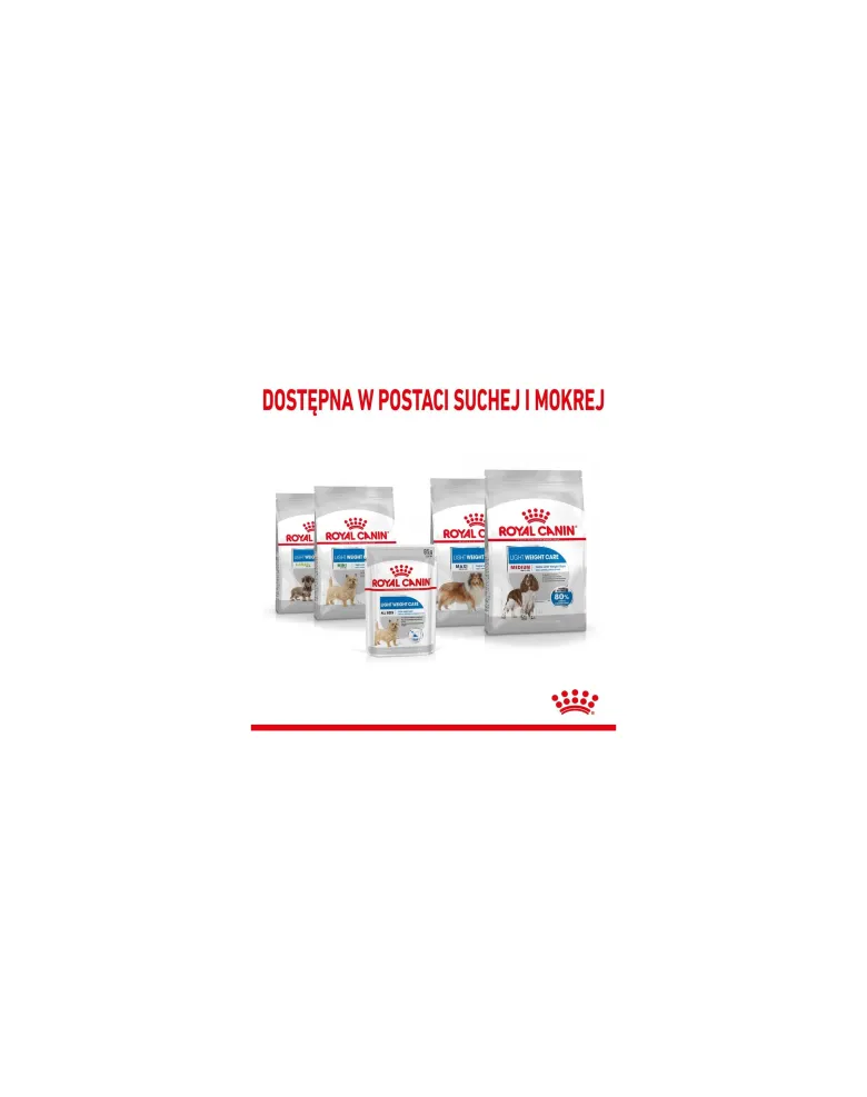 ROYAL CANIN Light Weight Care cibo umido - pâté per cani adulti con tendenza al sovrappeso 12 x 85 g