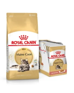 ROYAL CANIN Maine Coon Adult 10kg + umido Mainecoon 12x85 g
