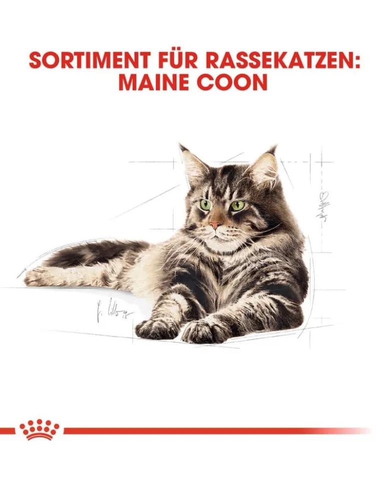 ROYAL CANIN Maine Coon Adult 20kg (2x10kg)