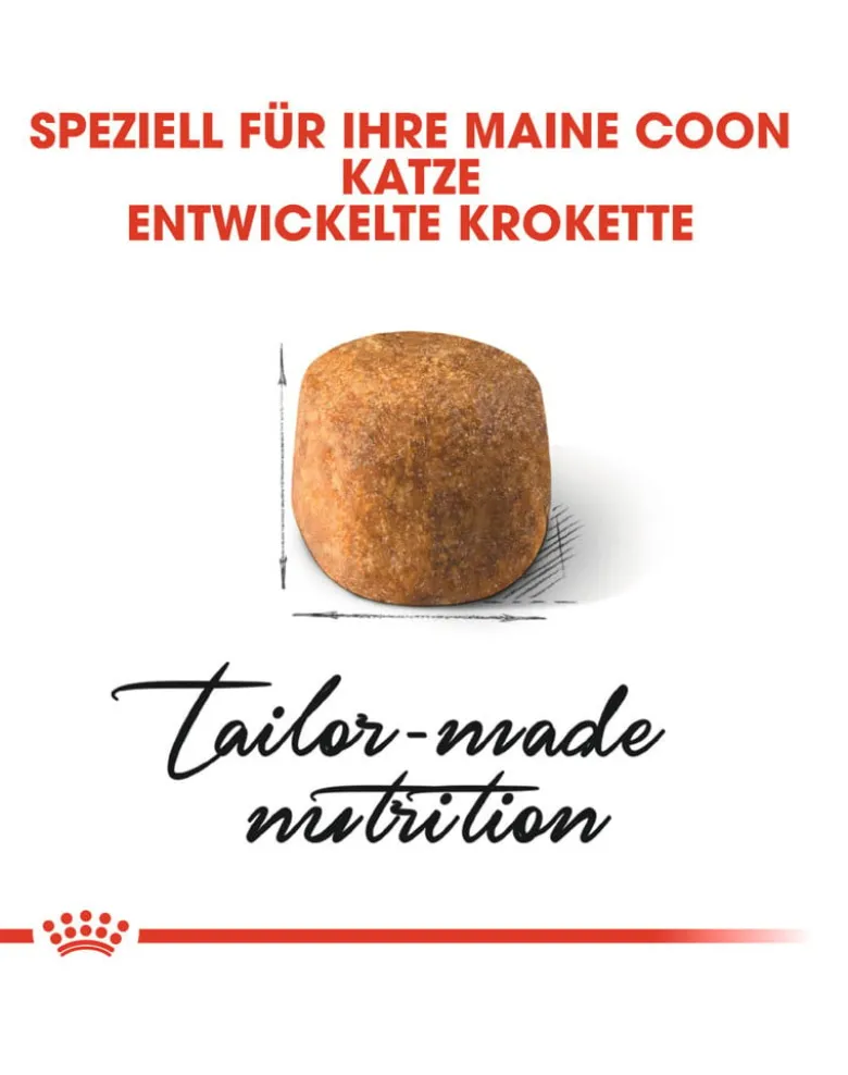ROYAL CANIN Maine Coon Adult 20kg (2x10kg)