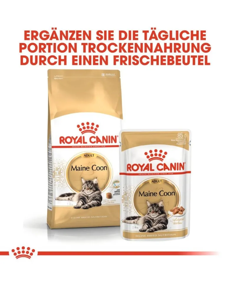 ROYAL CANIN Maine Coon Adult 20kg (2x10kg)