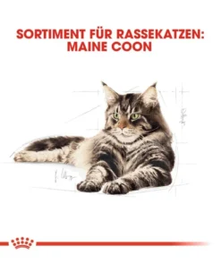 ROYAL CANIN Maine coon 10 kg
