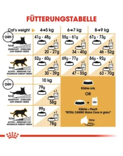 ROYAL CANIN Maine Coon 4 kg