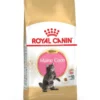 ROYAL CANIN Maine Coon Kitten 10 kg