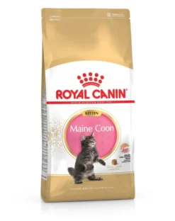 ROYAL CANIN Maine Coon Kitten 20kg (2x10kg)