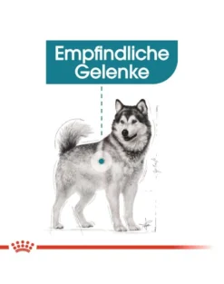 ROYAL CANIN Maxi Joint Care 10 kg