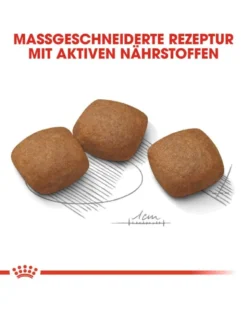 ROYAL CANIN Maxi Joint Care 10 kg