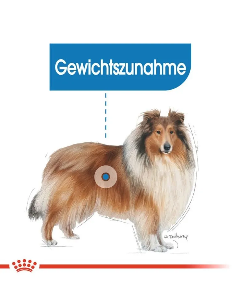 ROYAL CANIN Maxi Light Weight Care 3 kg
