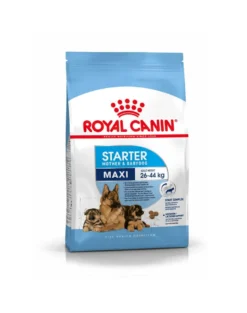 ROYAL CANIN Maxi starter mother & babydog 4 kg