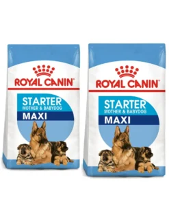 ROYAL CANIN Maxi Starter Mother&Babydog 30kg (2x15kg)