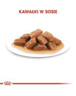 ROYAL CANIN Medium adult 10 x 140g