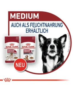 ROYAL CANIN Medium Ageing 10+ 15 kg cibo secco per cani maturi di età superiore ai 10 anni, razze di media taglia