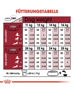 ROYAL CANIN Medium Ageing 10+ 30 kg (2 x 15 kg) cibo secco per cani maturi di età superiore ai 10 anni, razze di media taglia