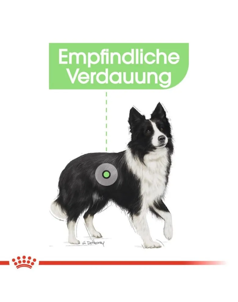 ROYAL CANIN Medium Digestive Care 3 kg