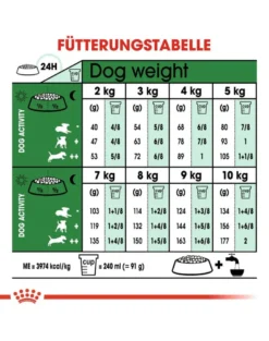 ROYAL CANIN Mini Adult +8 8 kg cibo secco per cani anziani da 8 a 12 anni di età, razze di piccola taglia