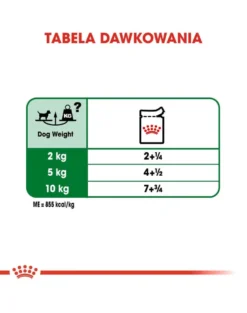 ROYAL CANIN Mini Adult 12x85 g cibo umido in salsa per cani adulti, razze piccole