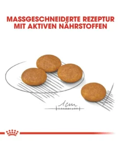 ROYAL CANIN Mini dermacomfort 1 kg