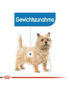 ROYAL CANIN Mini light weight care 1 kg