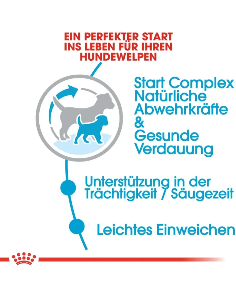 ROYAL CANIN Mini starter mother & babydog 1 kg