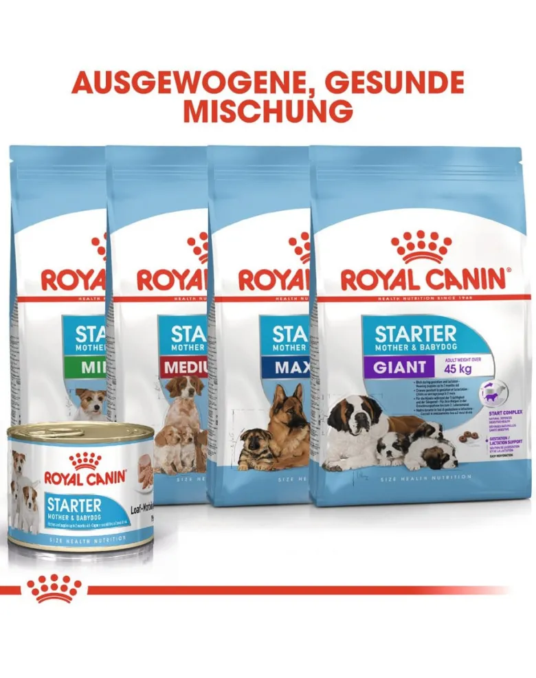 ROYAL CANIN Mini starter mother & babydog 1 kg