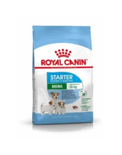 ROYAL CANIN Mini Starter Mother& Babydog 4kg cibo secco per la gravidanza, allattamento e cuccioli da 4 a 8 settimane, razze piccole