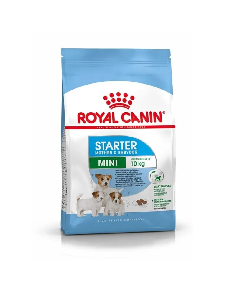 ROYAL CANIN Mini Starter Mother& Babydog 4kg cibo secco per la gravidanza, allattamento e cuccioli da 4 a 8 settimane, razze piccole