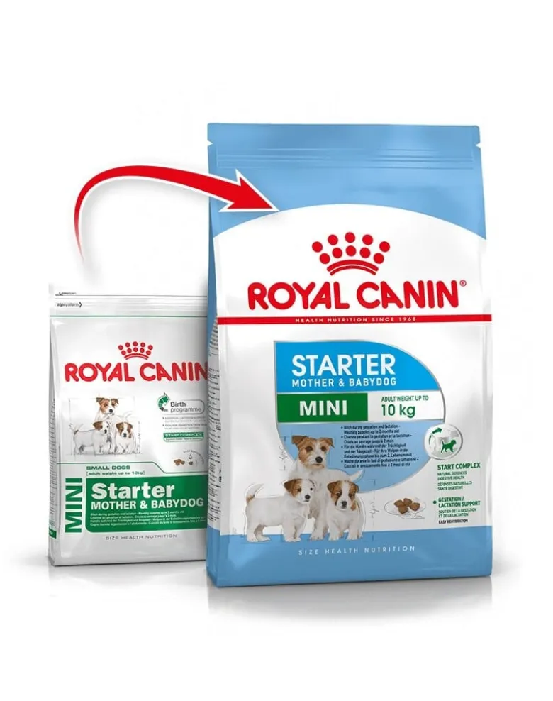 ROYAL CANIN Mini Starter Mother& Babydog 4kg cibo secco per la gravidanza, allattamento e cuccioli da 4 a 8 settimane, razze piccole