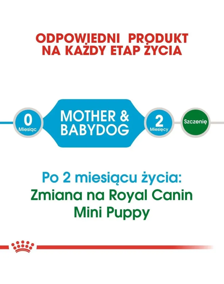 ROYAL CANIN Mini Starter Mother& Babydog 4kg cibo secco per la gravidanza, allattamento e cuccioli da 4 a 8 settimane, razze piccole