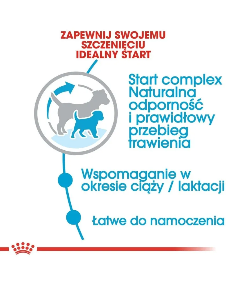 ROYAL CANIN Mini Starter Mother& Babydog 4kg cibo secco per la gravidanza, allattamento e cuccioli da 4 a 8 settimane, razze piccole