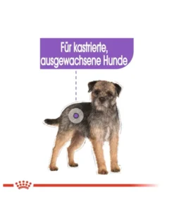 ROYAL CANIN Mini sterilised 1 kg