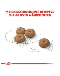 ROYAL CANIN Mini sterilised 1 kg