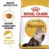 ROYAL CANIN Persian 10 kg