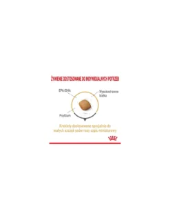 ROYAL CANIN Pomeranian Adult 1.5 kg cibo secco per cani adulti di razza spitz miniatura