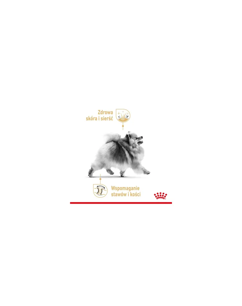ROYAL CANIN Pomeranian Adult 3 kg + umido 12x85g