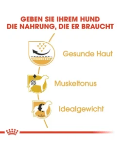 ROYAL CANIN Pug adult 1.5 kg