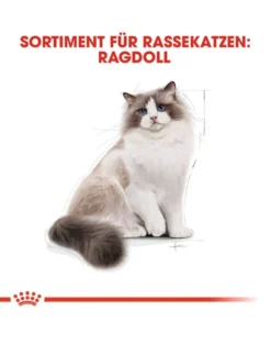 ROYAL CANIN Ragdoll Adult 10 kg