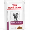 ROYAL CANIN Renal Feline manzo 48 x 85g cibo umido per gatti con insufficienza renale cronica