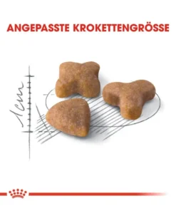ROYAL CANIN Sensible 33 10 kg